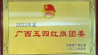 廣西五四紅旗團委